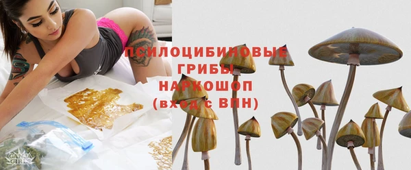 PSILOCYBIN Алексеевка