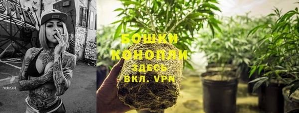 PSILOCYBIN Алексеевка